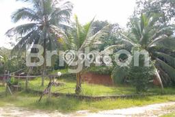 Kavling Tanah untuk Dijual di Kariangau, Balikpapan, Luas 13764m2 Kavling Tanah untuk Dijual di Kariangau, Balikpapan, Luas 13764m2