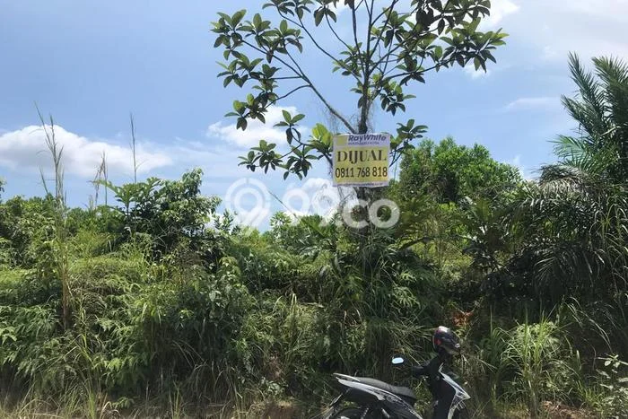 Kavling Tanah di Rumbai Dijual Luas 4000m2 Legalitas SHM Kavling Tanah di Rumbai Dijual Luas 4000m2 Legalitas SHM