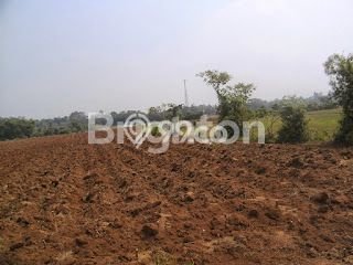 Kavling Tanah Dijual di Menganti Gresik Spesifikasi 4635m2 Kavling Tanah Dijual di Menganti Gresik Spesifikasi 4635m2