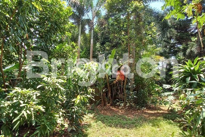 Tanah Kavling Dijual di Purwakarta dengan Spesifikasi 4877m2 Tanah Kavling Dijual di Purwakarta dengan Spesifikasi 4877m2