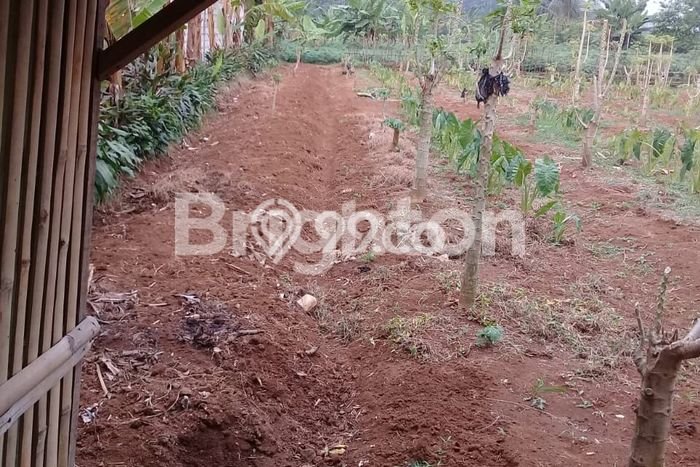 Lahan Dijual Lokasi Strategis di Bogor dengan Luas 1380m2 Lahan Dijual Lokasi Strategis di Bogor dengan Luas 1380m2