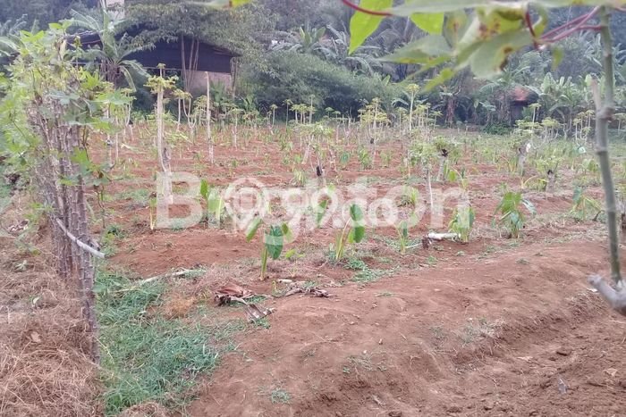 Lahan Dijual Lokasi Strategis di Bogor dengan Luas 1380m2 Lahan Dijual Lokasi Strategis di Bogor dengan Luas 1380m2
