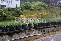 HARGA MENARIK! Tanah di Tawangmangu, Luas 575m2m², Area Asri HARGA MENARIK! Tanah di Tawangmangu, Luas 575m2m², Area Asri