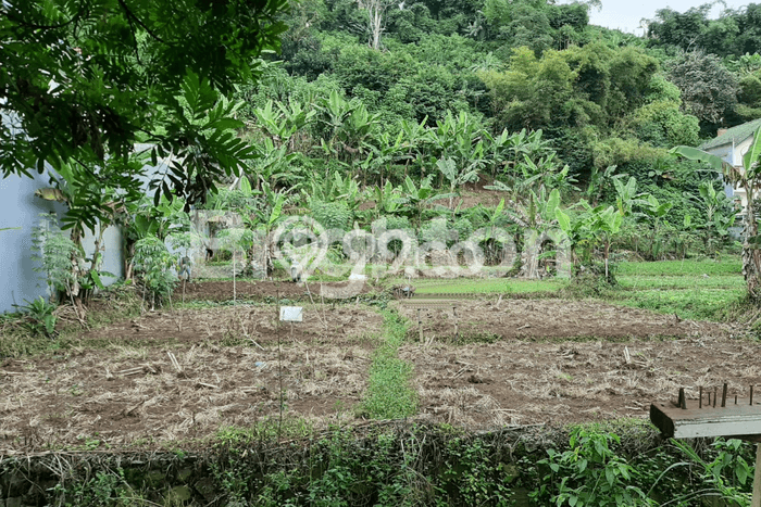 Tanah Investasi Dijual di Bandung Punya Luas 861m2 Tanah Investasi Dijual di Bandung Punya Luas 861m2