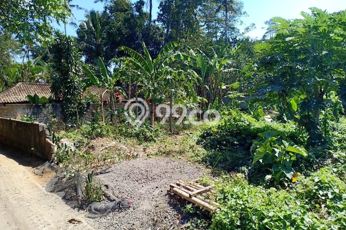 Tanah Investasi Dijual di Gianyar Punya Luas 500m2 Tanah Investasi Dijual di Gianyar Punya Luas 500m2