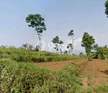 Tanah Dijual Lokasi Sumedang Selatan, Sumedang Luas 27950m2 Legalitas Aman Tanah Dijual Lokasi Sumedang Selatan, Sumedang Luas 27950m2 Legalitas Aman