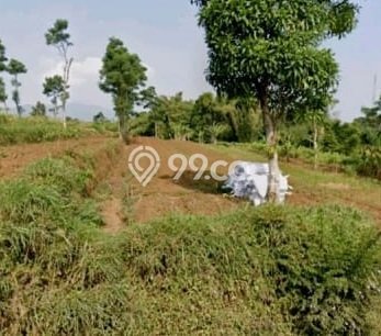 Tanah Dijual Lokasi Sumedang Selatan, Sumedang Luas 27950m2 Legalitas Aman Tanah Dijual Lokasi Sumedang Selatan, Sumedang Luas 27950m2 Legalitas Aman