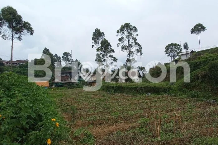 Lahan Kosong Dijual di Pangalengan, Bandung, Luas 12620m2 Area Strategis Lahan Kosong Dijual di Pangalengan, Bandung, Luas 12620m2 Area Strategis