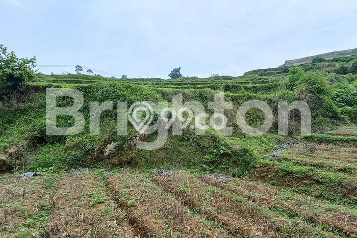 Lahan Kosong Dijual di Pangalengan, Bandung, Luas 12620m2 Area Strategis Lahan Kosong Dijual di Pangalengan, Bandung, Luas 12620m2 Area Strategis