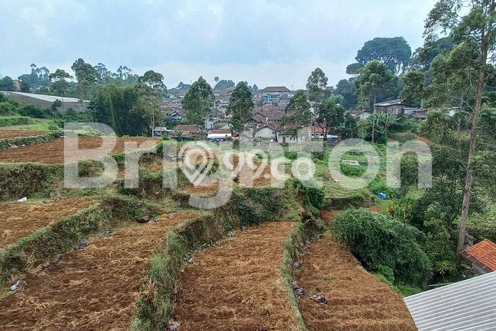 Lahan Kosong Dijual di Pangalengan, Bandung, Luas 12620m2 Area Strategis Lahan Kosong Dijual di Pangalengan, Bandung, Luas 12620m2 Area Strategis