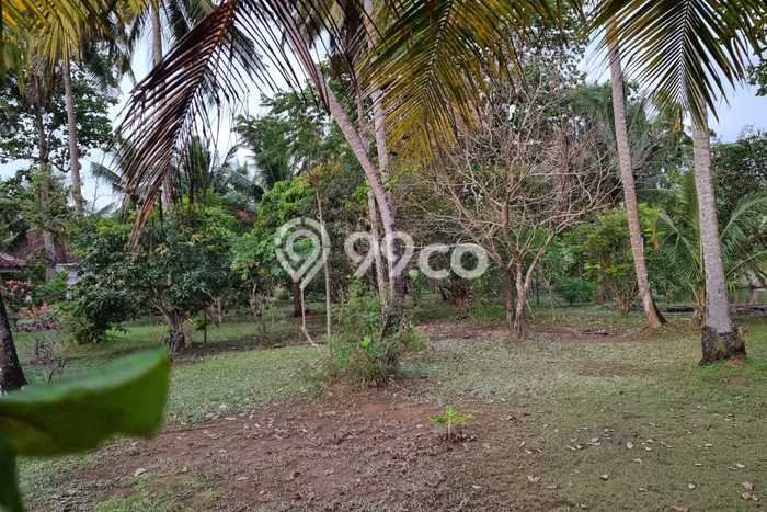 Tanah Kawasan Kalianda, Luas 6000m2m², Dekat Pusat Kota, Cocok untuk Properti Tanah Kawasan Kalianda, Luas 6000m2m², Dekat Pusat Kota, Cocok untuk Properti