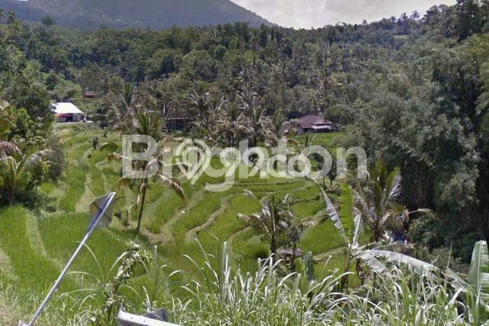 Tanah Komersial Dijual di Penebel Tabanan 6000m2 Tanah Komersial Dijual di Penebel Tabanan 6000m2