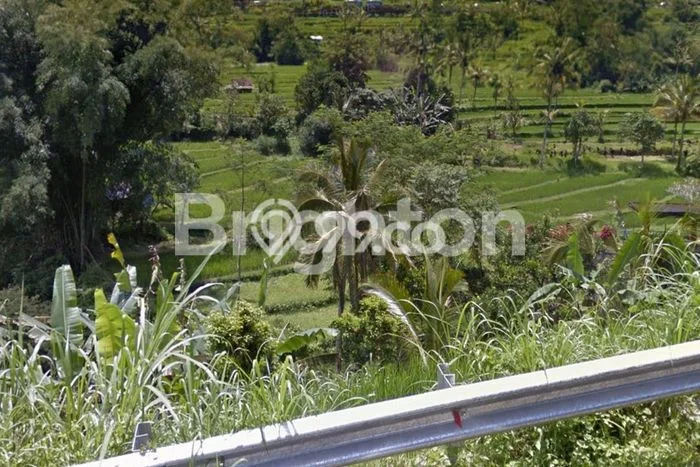 Tanah Komersial Dijual di Penebel Tabanan 6000m2 Tanah Komersial Dijual di Penebel Tabanan 6000m2