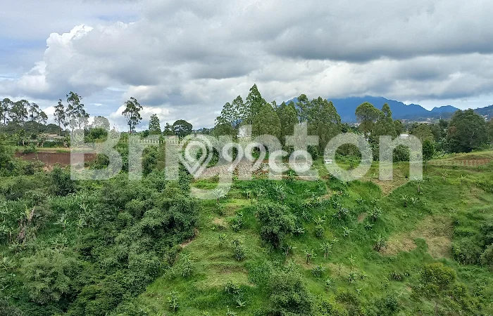 Tanah Dijual Area Strategis di Lembang Bandung 1000m2 Tanah Dijual Area Strategis di Lembang Bandung 1000m2