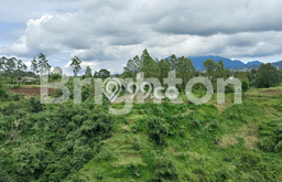 Tanah Dijual Area Strategis di Lembang Bandung 1000m2 Tanah Dijual Area Strategis di Lembang Bandung 1000m2