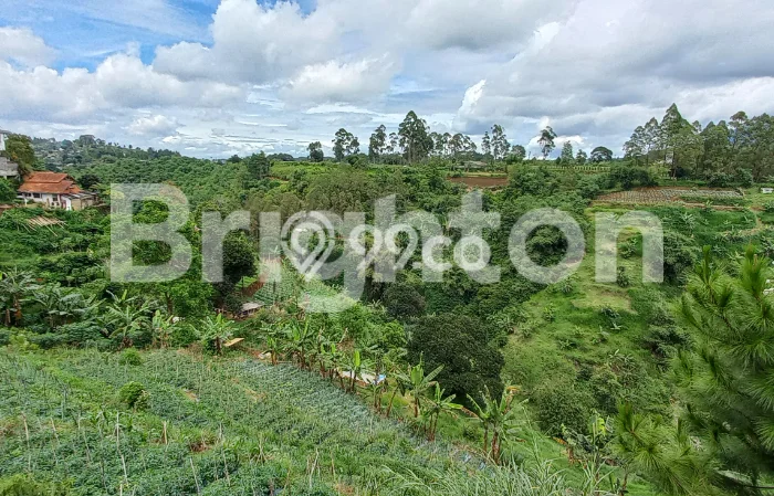Tanah Dijual Area Strategis di Lembang Bandung 1000m2 Tanah Dijual Area Strategis di Lembang Bandung 1000m2