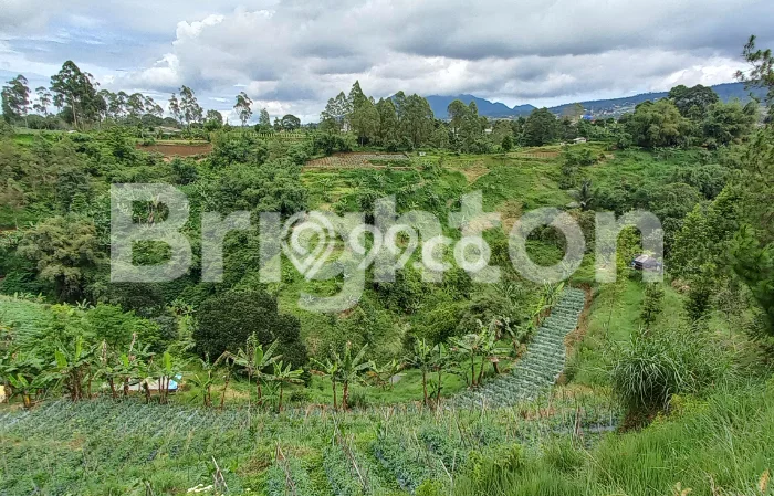Tanah Dijual Area Strategis di Lembang Bandung 1000m2 Tanah Dijual Area Strategis di Lembang Bandung 1000m2