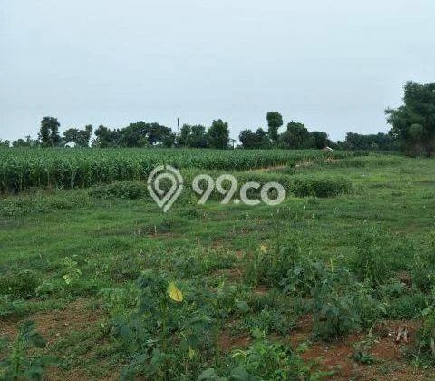 Kavling Tanah Dijual di Gempol Pasuruan Spesifikasi 140000m2 Kavling Tanah Dijual di Gempol Pasuruan Spesifikasi 140000m2