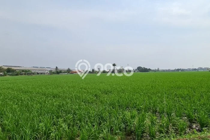 Tanah Dijual Lokasi Karawang Timur Karawang SHM Tanah Dijual Lokasi Karawang Timur Karawang SHM