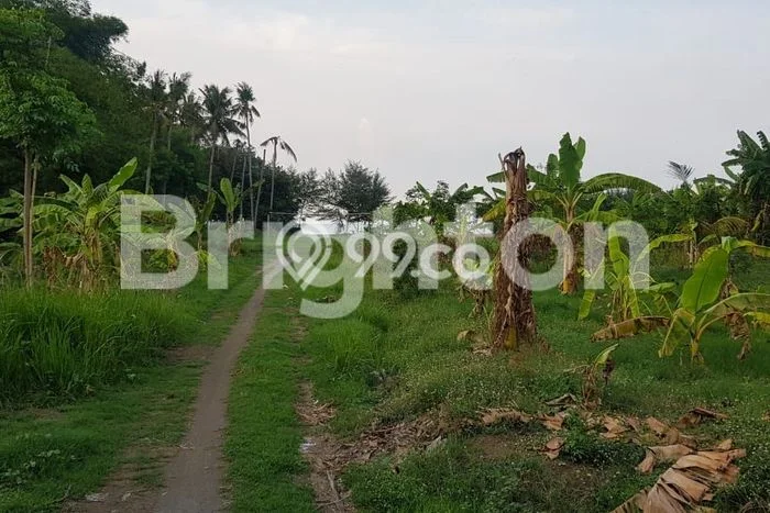 Tanah Komersial Dijual di Warureja Tegal 9000m2 Tanah Komersial Dijual di Warureja Tegal 9000m2
