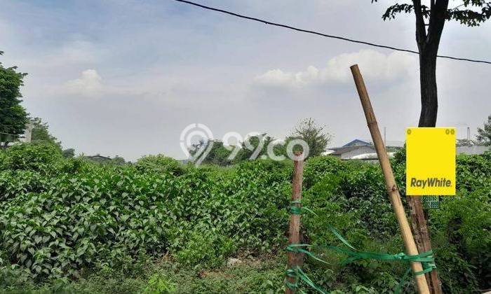 Dijual Tanah Area Berkembang Kawasan Kraton, Luas 8063m2m², Akses Kraton, Pasuruan, Pasuruan Dijual Tanah Area Berkembang Kawasan Kraton, Luas 8063m2m², Akses Kraton, Pasuruan, Pasuruan