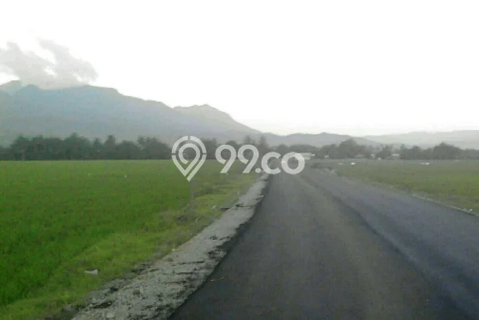 Tanah di Bone, Bone Bolango Luas 30000m2 Dijual Segera Tanah di Bone, Bone Bolango Luas 30000m2 Dijual Segera
