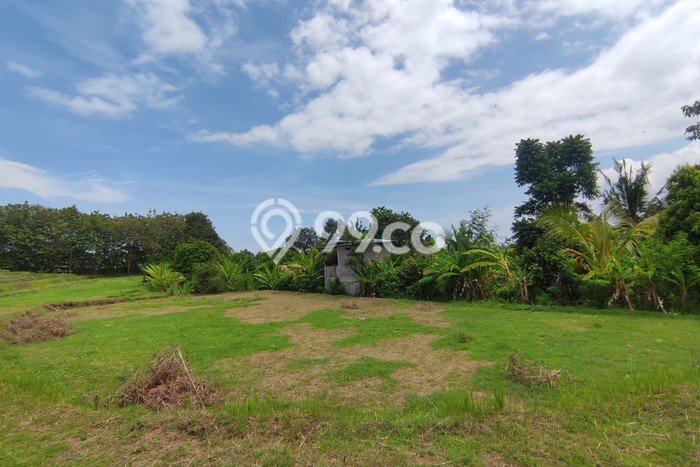 LOKASI STRATEGIS! Tanah di Lovina, Luas 940m², Lingkungan Asri, Cocok untuk Hunian LOKASI STRATEGIS! Tanah di Lovina, Luas 940m², Lingkungan Asri, Cocok untuk Hunian