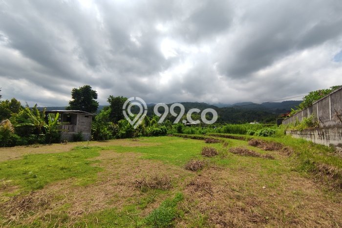 LOKASI STRATEGIS! Tanah di Lovina, Luas 940m², Lingkungan Asri, Cocok untuk Hunian LOKASI STRATEGIS! Tanah di Lovina, Luas 940m², Lingkungan Asri, Cocok untuk Hunian