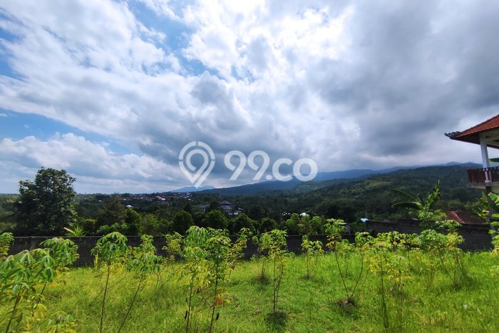 LOKASI STRATEGIS! Tanah di Lovina, Luas 740m², Kawasan Berkembang, Cocok untuk Hunian LOKASI STRATEGIS! Tanah di Lovina, Luas 740m², Kawasan Berkembang, Cocok untuk Hunian