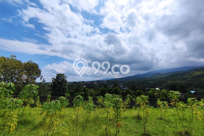 LOKASI STRATEGIS! Tanah di Lovina, Luas 740m², Kawasan Berkembang, Cocok untuk Hunian LOKASI STRATEGIS! Tanah di Lovina, Luas 740m², Kawasan Berkembang, Cocok untuk Hunian