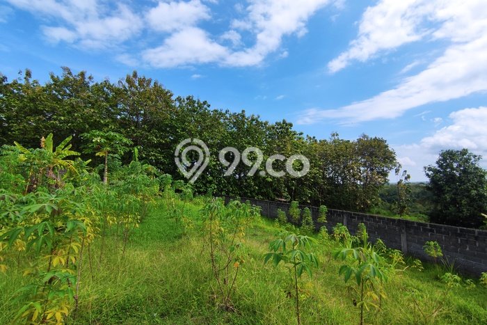 LOKASI STRATEGIS! Tanah di Lovina, Luas 740m², Kawasan Berkembang, Cocok untuk Hunian LOKASI STRATEGIS! Tanah di Lovina, Luas 740m², Kawasan Berkembang, Cocok untuk Hunian
