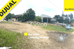 Tanah Siap Bangun Dijual di Tanggamus Punya Luas 1m2 Tanah Siap Bangun Dijual di Tanggamus Punya Luas 1m2