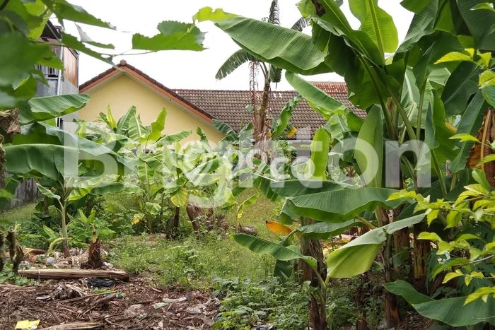 Kavling Tanah Dijual di Mantrijeron, Yogyakarta, Luas 385m2 Area Strategis Kavling Tanah Dijual di Mantrijeron, Yogyakarta, Luas 385m2 Area Strategis