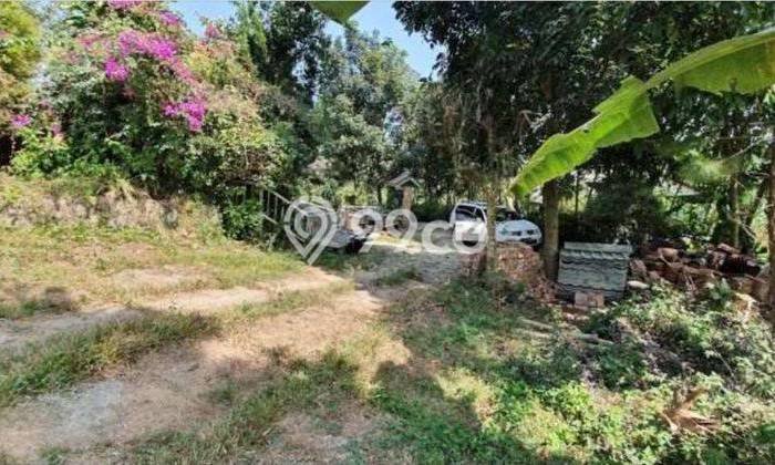 Kavling Tanah di Ciawi Dijual Luas 11875m2 Legalitas SHM Kavling Tanah di Ciawi Dijual Luas 11875m2 Legalitas SHM