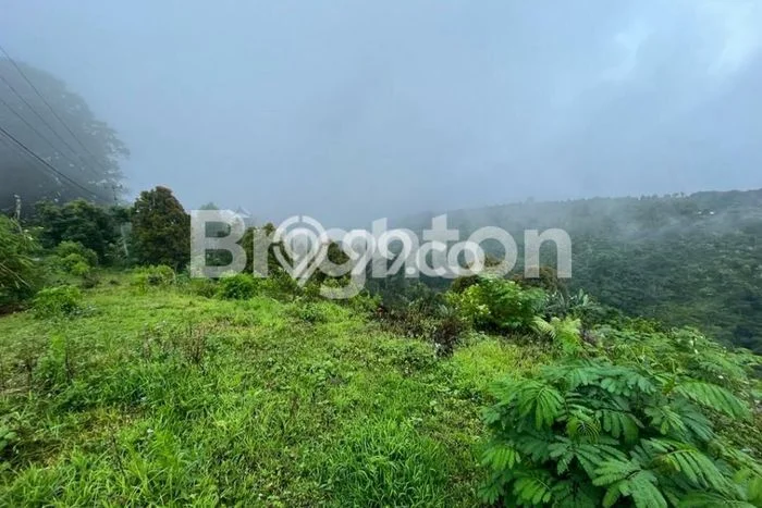 Lahan untuk Dijual di Kintamani Bangli Luas 17200m2 Lahan untuk Dijual di Kintamani Bangli Luas 17200m2