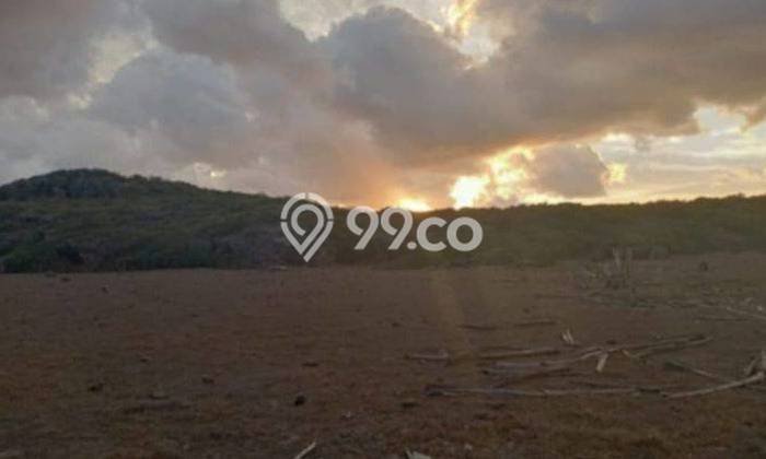 Kavling Tanah Dijual di Rote Barat Laut Rote Ndao Spesifikasi 89094m2 Kavling Tanah Dijual di Rote Barat Laut Rote Ndao Spesifikasi 89094m2