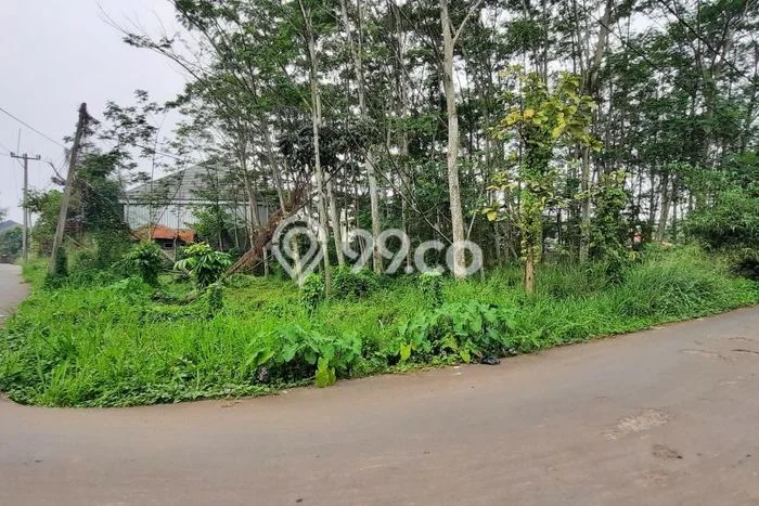 Dijual Tanah di Dramaga Bogor Luas 4485m2 SHM Dijual Tanah di Dramaga Bogor Luas 4485m2 SHM