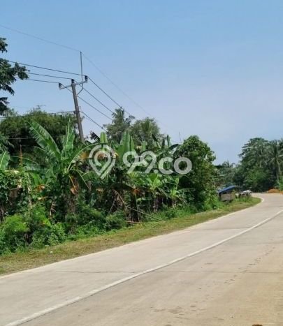 Kavling Tanah Dijual di Panimbang Pandeglang Spesifikasi 15590m2 Kavling Tanah Dijual di Panimbang Pandeglang Spesifikasi 15590m2