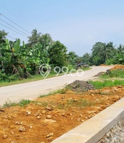 Kavling Tanah Dijual di Panimbang Pandeglang Spesifikasi 15590m2 Kavling Tanah Dijual di Panimbang Pandeglang Spesifikasi 15590m2