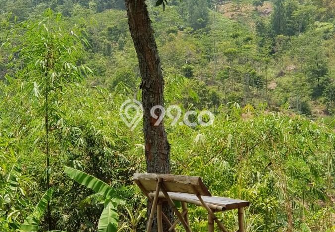 Untuk Dijual Tanah 9000m2 di Tanah Sareal, Bogor Untuk Dijual Tanah 9000m2 di Tanah Sareal, Bogor