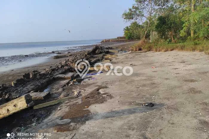 Tanah Dijual Area Strategis di Tanjung Lesung Pandeglang 17800m2 Tanah Dijual Area Strategis di Tanjung Lesung Pandeglang 17800m2