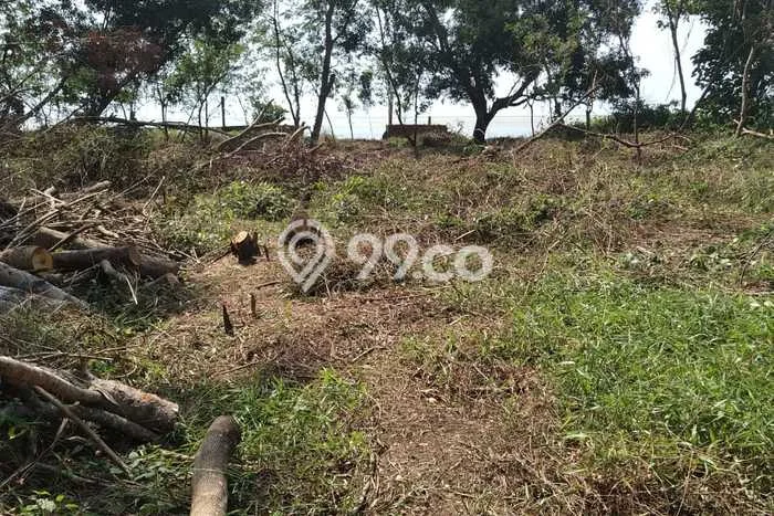 Tanah Dijual Area Strategis di Tanjung Lesung Pandeglang 17800m2 Tanah Dijual Area Strategis di Tanjung Lesung Pandeglang 17800m2
