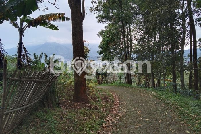 Tanah Lokasi Prima di Bumiaji, Luas 1449m², Kawasan Asri, Akses Bumiaji, Batu, Batu Tanah Lokasi Prima di Bumiaji, Luas 1449m², Kawasan Asri, Akses Bumiaji, Batu, Batu