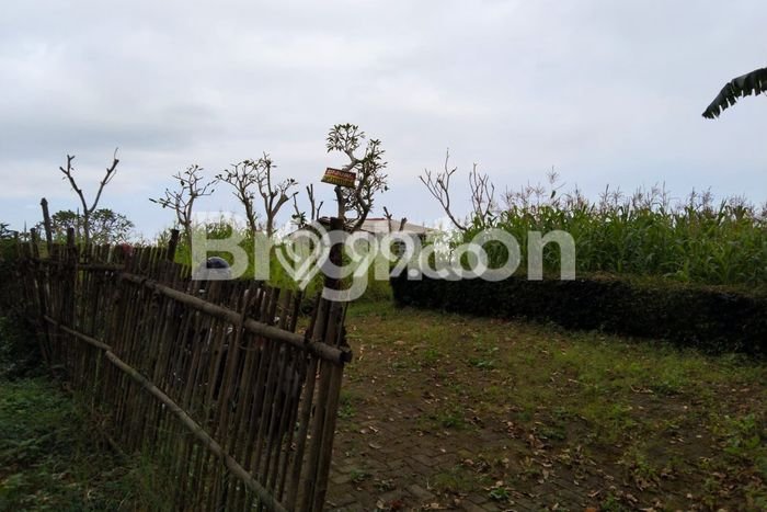 Tanah Lokasi Prima di Bumiaji, Luas 1449m², Kawasan Asri, Akses Bumiaji, Batu, Batu Tanah Lokasi Prima di Bumiaji, Luas 1449m², Kawasan Asri, Akses Bumiaji, Batu, Batu