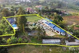 Dijual Tanah di Trawas Mojokerto Luas 6020m2 - Dijual Tanah di Trawas Mojokerto Luas 6020m2 -