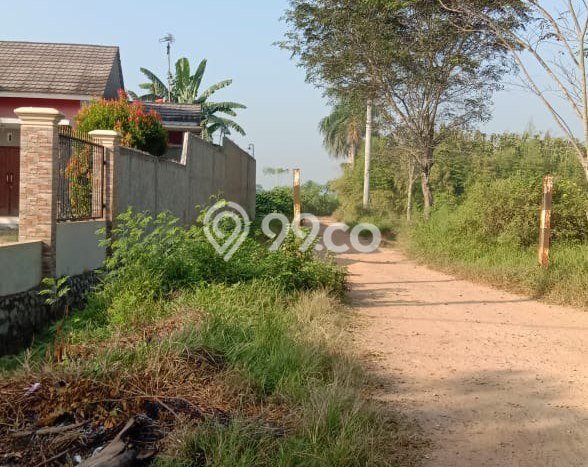 Kavling Tanah di Rajeg Dijual Luas 730m2 Legalitas SHM Kavling Tanah di Rajeg Dijual Luas 730m2 Legalitas SHM