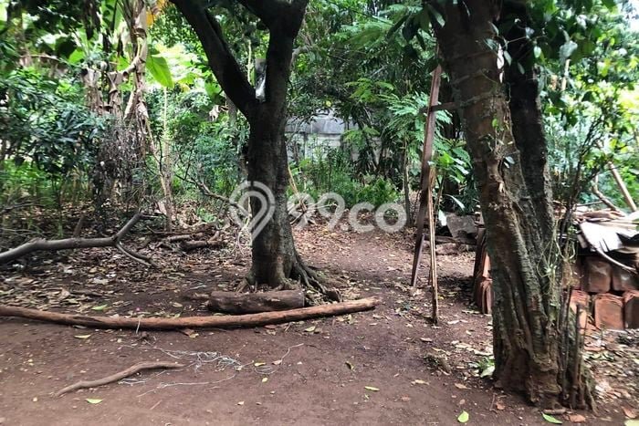Tanah Siap Bangun Dijual di Bekasi Punya Luas 1000m2 Tanah Siap Bangun Dijual di Bekasi Punya Luas 1000m2