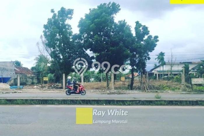 Jarang Ada! Tanah di Kedaton Punya Luas 4525m2 SHM Jarang Ada! Tanah di Kedaton Punya Luas 4525m2 SHM