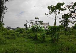 Kavling Tanah di Mijen Dijual Luas 4450m2 Legalitas SHM Kavling Tanah di Mijen Dijual Luas 4450m2 Legalitas SHM
