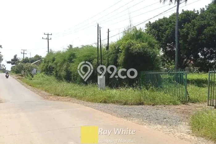 Kavling Tanah di Natar Dijual Luas 110500m2 Legalitas SHM Kavling Tanah di Natar Dijual Luas 110500m2 Legalitas SHM